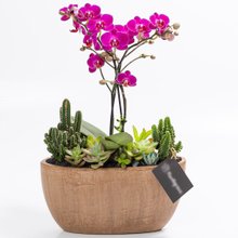 Cachepot Aço Corten MIni Orquídea, Cactos e Suculentas
