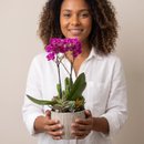 Copo Gelo Mini Orquidea, cactos e Suculentas