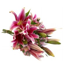 Buquê de Lírio Cor de Rosa