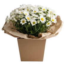 Mini Margaridinha Branca