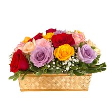 Floreira Rosas Colorisas