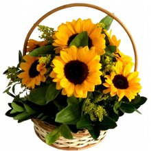Cesta de Girassol