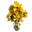 Orquidea Cymbidium Amarela No Vaso de Vidro