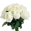 Buquê de 10 Rosas Brancas 