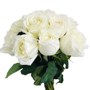 Buquê de 10 Rosas Brancas