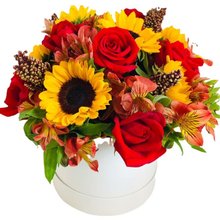 Luxuoso Box Premium Itália