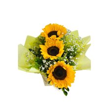 Arranjo Lindos Girassóis