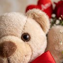 Kit Box Com Urso Teddy Love