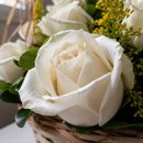 Cesta com 24 Rosas Brancas