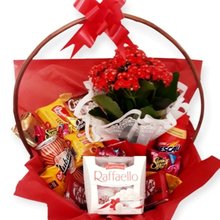 Cesta Chocolate Especial