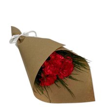 Partitura de Cravos Vermelhos 