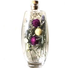 Jardim no Vidro Doçura