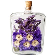 Jardim no Vidro Alecrim do Campo 