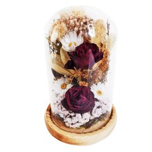 Cúpula Jardim de Rosas