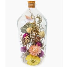 Jardim no Vidro Flores do Campo