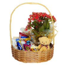 Cesta com Chocolates, Flor & Pelúcia