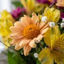 Vaso de Flores Campestres