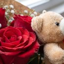 Buquê de Rosas Vermelhas com Urso de Pelúcia