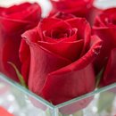 Arranjo De 4 Rosas Vermelhas 