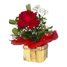 Rosa Vermelha Importada