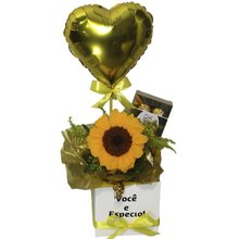 Cesta Você é Especial