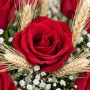 Buquê 12 de Rosas Nacionais