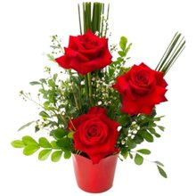 Arranjo Rosas Colombianas