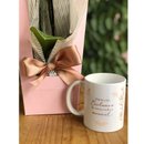 Presente com Orquídea e Caneca 