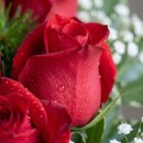 Caixa Coração com Rosas e Mini espumante 