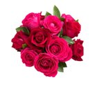Admirável Rosas em Vaso de Vidro