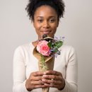 Mimo de Rosa 