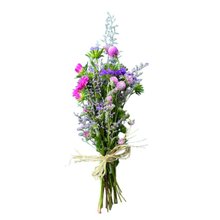 Primor de Margaridas