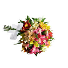 Buquê com 12 Astromélias Coloridas