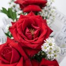 Arranjo 3 Rosas Vermelhas Premium