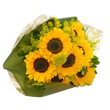 Buquê Sete Lindos Girassóis
