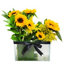 Girassóis Arte Design