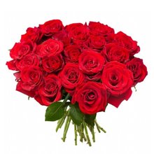 Buquê Duas Dúzias de Rosas Vermelhas