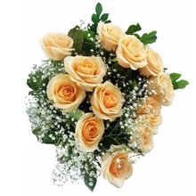 Buquê 12 Lindas Rosas Champanhe