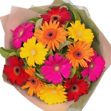Buquê Luxuosas 15 Gérberas