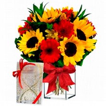 Aquário Jardim Florido e Bombons 