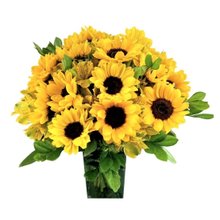 Jardim de Girassóis