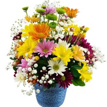 Flores do Campo em Vaso Cerâmico