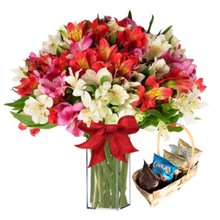 Astromélias Mix e Combo 5 Delicias