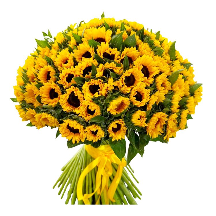 Mega Buquê 100 Girassóis
