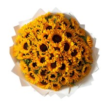 Mega Buquê 50 Girassóis