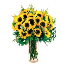 Vaso Mega Buquê 40 Girassóis
