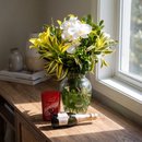 Delicado Vaso de Orquídeas com Lírio