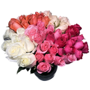 Arranjo de Rosas em Tons Claros