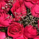 Box Harmonia em Rosas