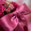 Box Harmonia em Rosas